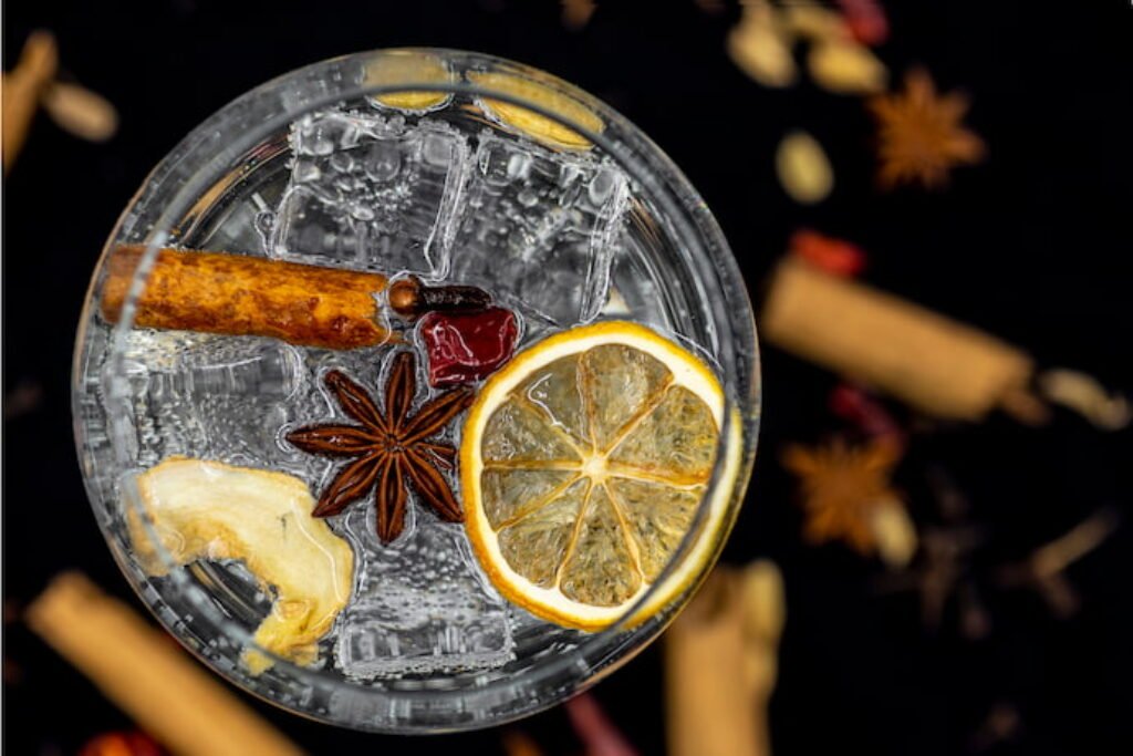 Gin decorado com rodela de limão, anis e gelo.
