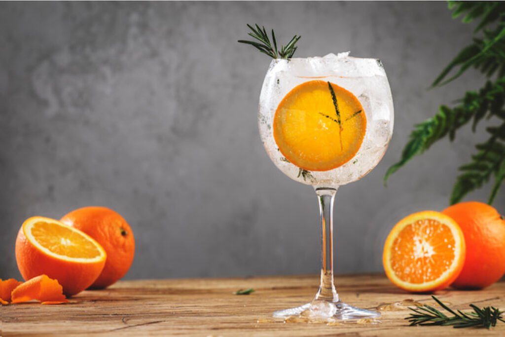 Taça de gin com laranjas ao redor.