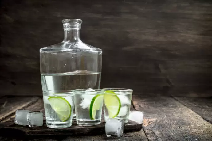 Uma garrafa da melhor vodka e três copos com limão.