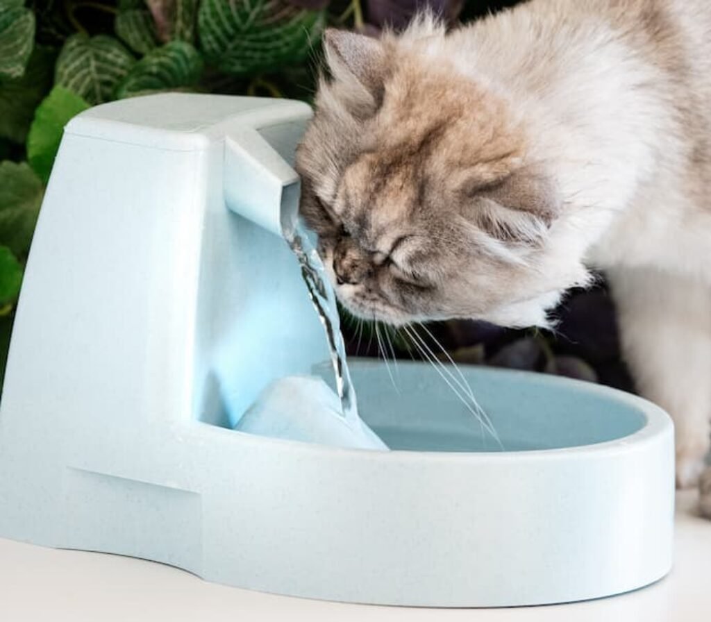 Um gato cheirando uma fonte automática.