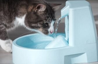 Um gato bebendo água da melhor fonte de água automática.