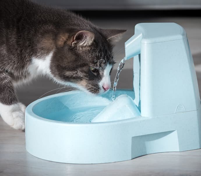 Um gato bebendo água da melhor fonte de água automática.
