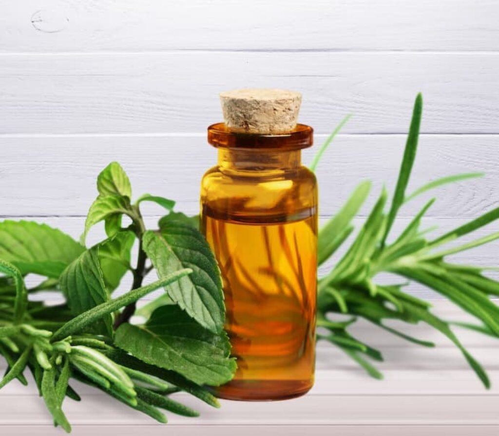 Um dos melhores óleos essenciais de tea tree cercado por ervas.