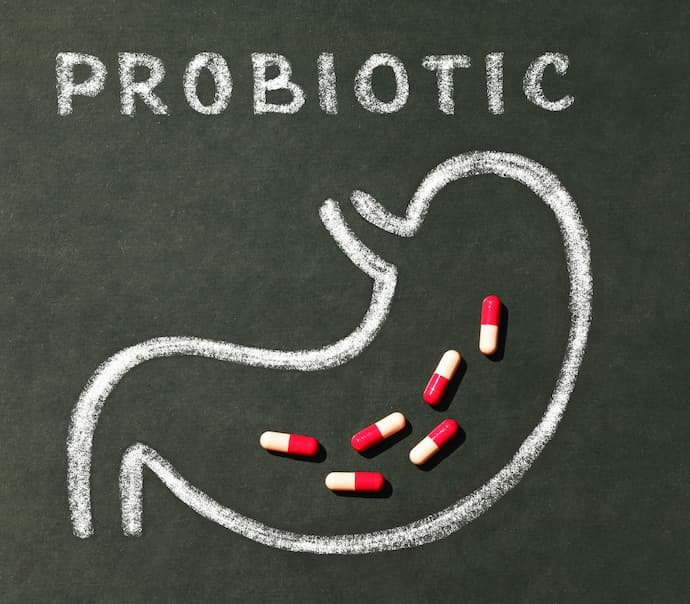 Uma ilustração de um intestino com cápsulas dos melhores probióticos.