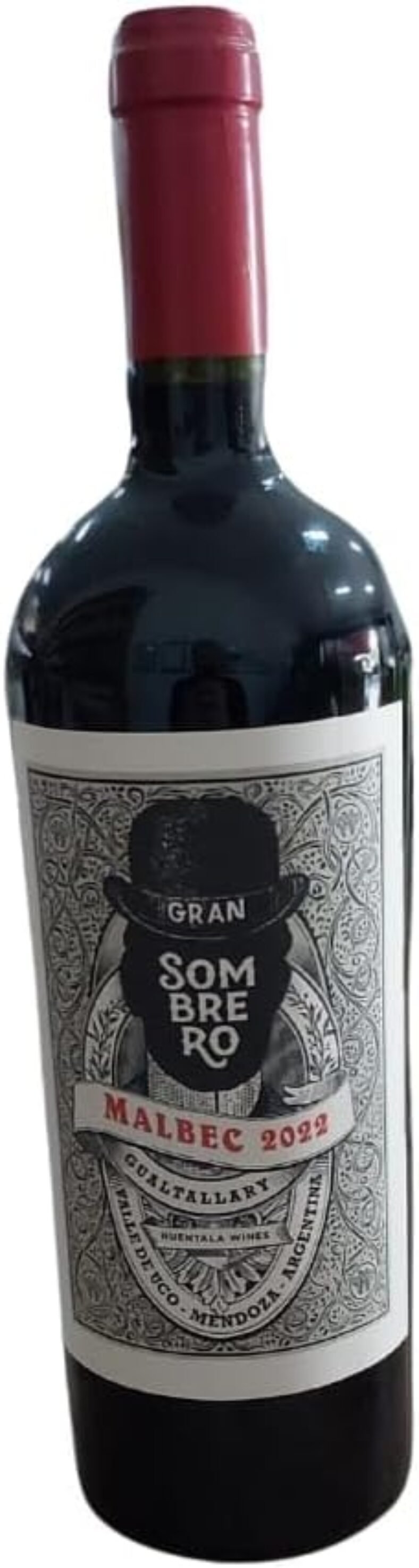 Melhores Vinhos Argentinos de 2026: Bons e Baratos, Malbec, Entre ...