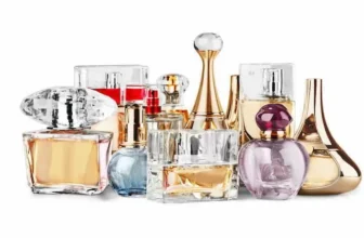 Diversos perfumes juntos em um fundo branco.