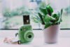 Câmera instantânea verde ao lado de um vaso de planta.