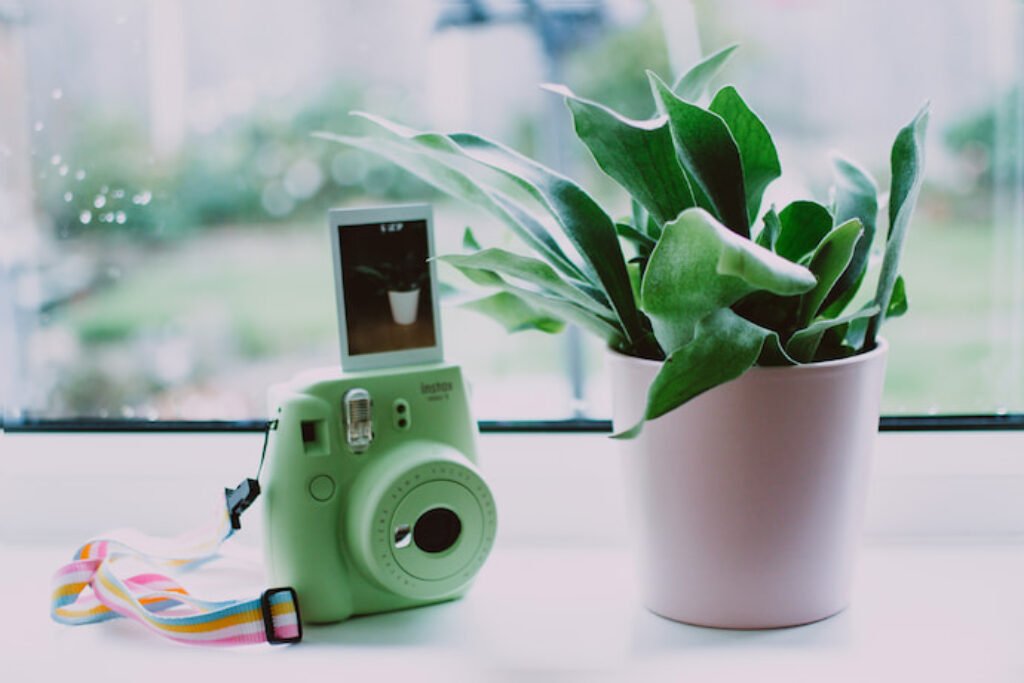 Câmera instantânea verde ao lado de um vaso de planta.