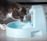 Melhor Fonte de Água Automática para Gatos de 2025: Cerâmica, Inox, Com Filtro, Sem Fio e Mais